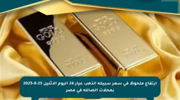 ارتفاع ملحوظ في سعر سبيكة الذهب عيار 24 اليوم الاثنين 25-8-2025 بمحلات الصاغة في مصر